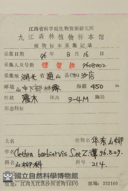 華東山柳藏品圖，第2張