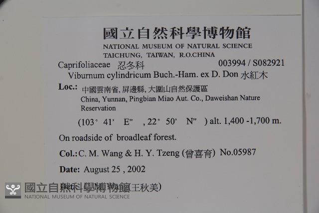 Accession Number:S082921 Collection Image, Figure 2, Total 2 Figures