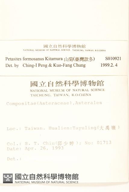 臺灣款冬藏品圖，第2張