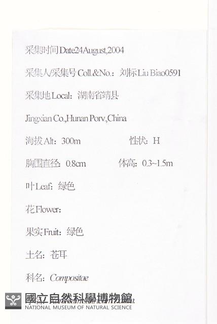 蒼耳藏品圖，第2張