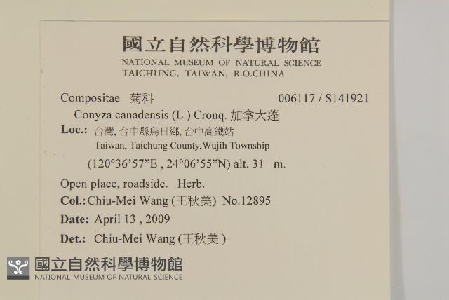 加拿大蓬藏品圖，第2張