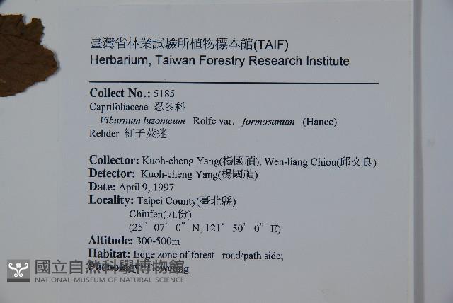 紅子莢迷藏品圖，第2張