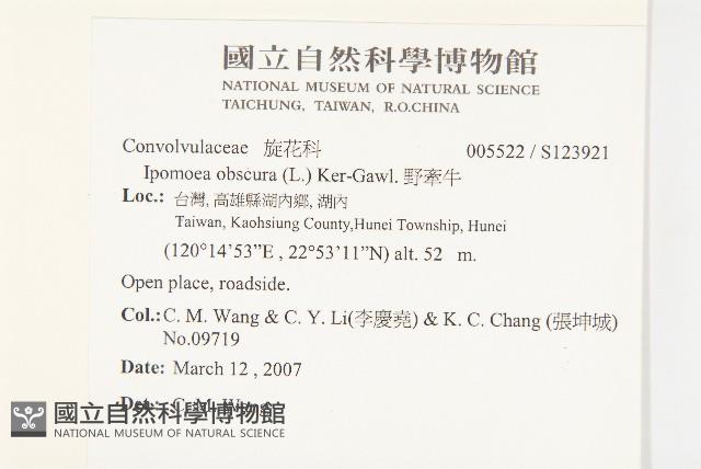 野牽牛藏品圖，第2張