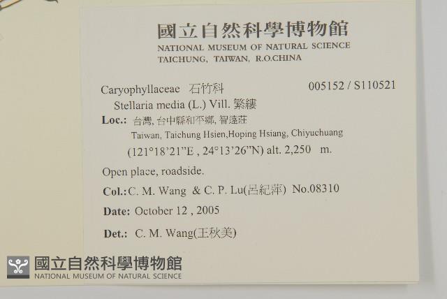 繁縷藏品圖，第2張