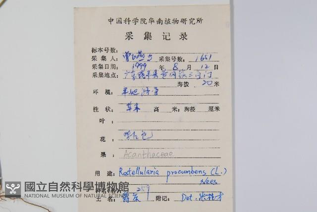 爵床、六角英藏品圖，第2張