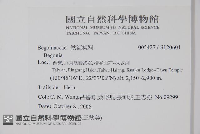 登錄號:S120601藏品圖，第2張