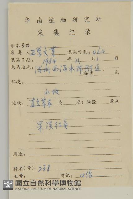 七里明艾納香藏品圖，第2張