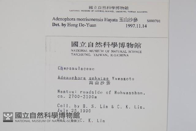 玉山沙參藏品圖，第2張