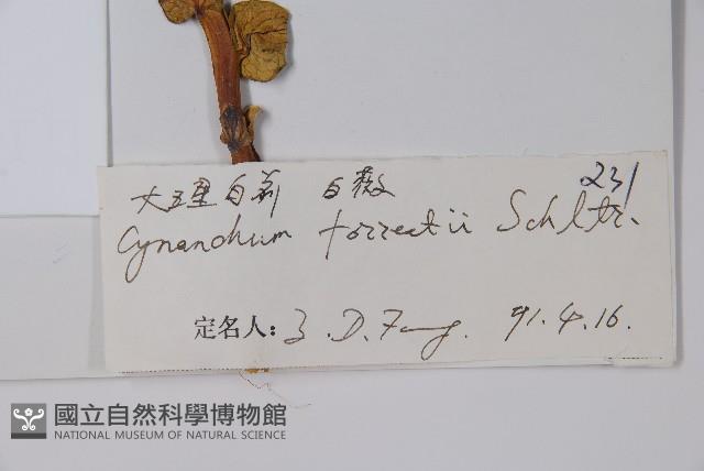 群虎草、大理白前藏品圖，第2張