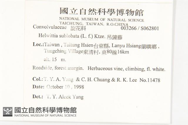 Accession Number:S062801 Collection Image, Figure 2, Total 2 Figures