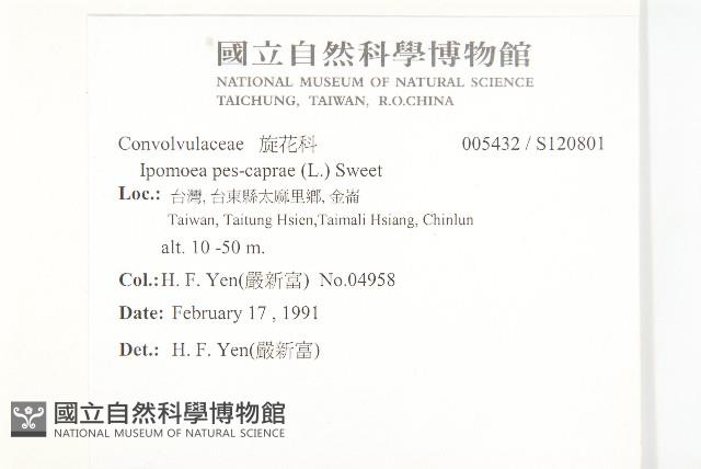 登錄號:S120801藏品圖，第2張