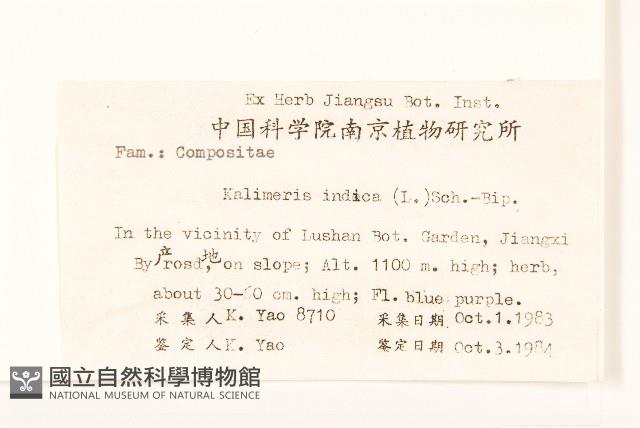 雞兒腸藏品圖，第2張
