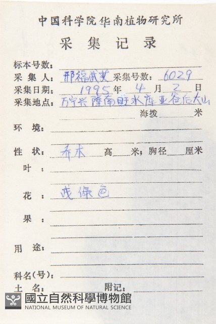牛耳楓藏品圖，第2張