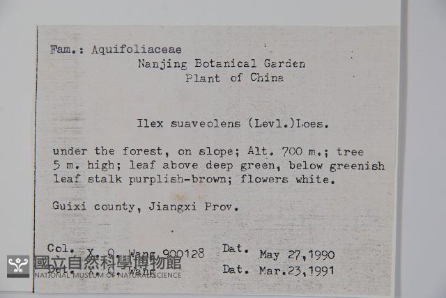 香冬青藏品圖，第2張