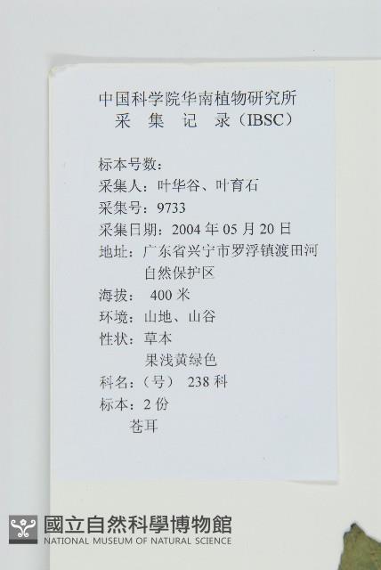 蒼耳藏品圖，第2張