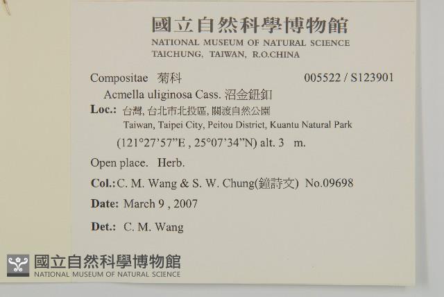 沼生金鈕扣藏品圖，第2張