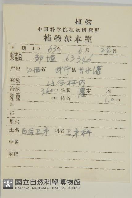 百齒衛矛藏品圖，第2張