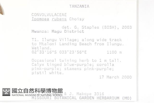 登錄號:S093901藏品圖，第2張
