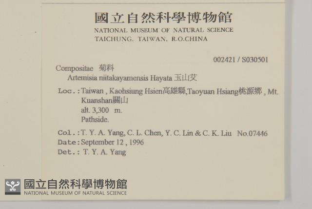 高山艾藏品圖，第2張