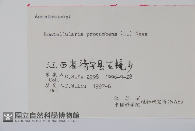 爵床、六角英藏品圖，第2張