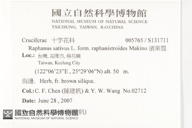 濱萊菔藏品圖，第2張