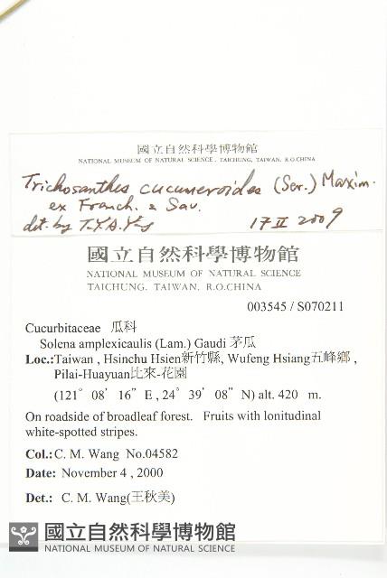 王瓜藏品圖，第2張