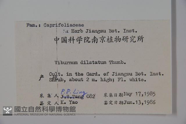 莢迷藏品圖，第2張