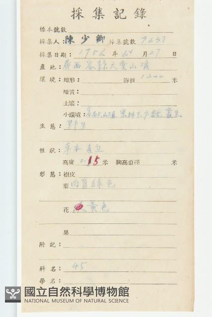 禾葉景天藏品圖，第2張