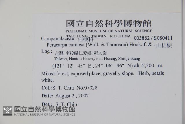 山桔梗藏品圖，第2張