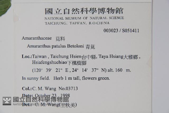 青莧藏品圖，第2張