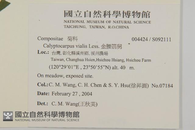 金腰箭舅藏品圖，第2張