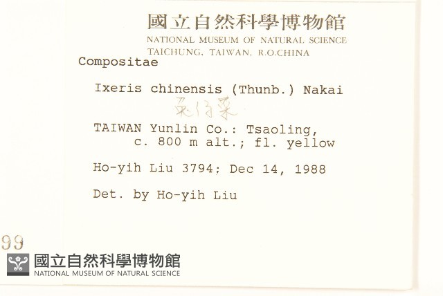 兔仔菜藏品圖，第2張