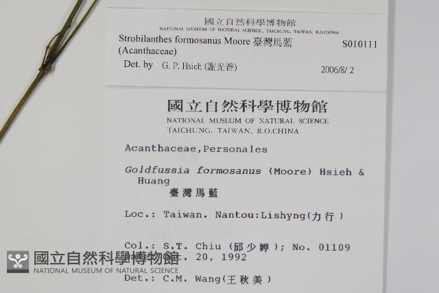 臺灣馬藍藏品圖，第2張