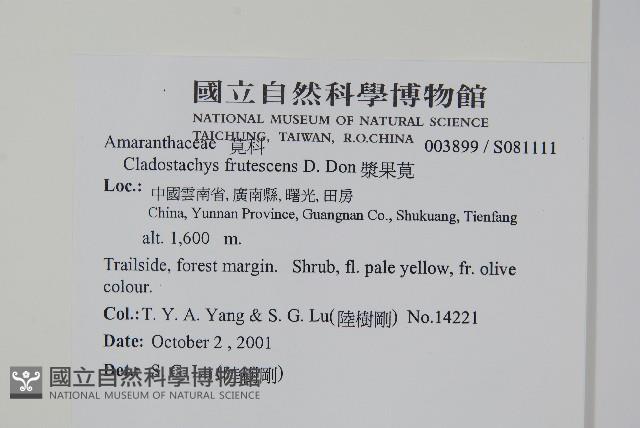 漿果莧藏品圖，第2張