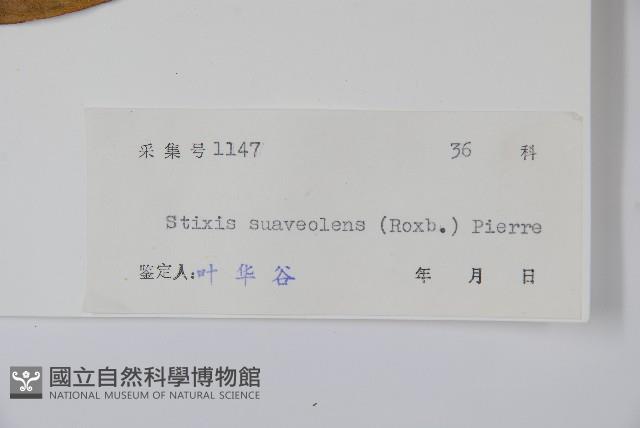 六萼藤藏品圖，第2張