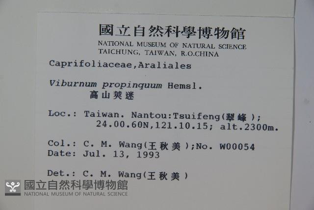 高山莢迷藏品圖，第2張