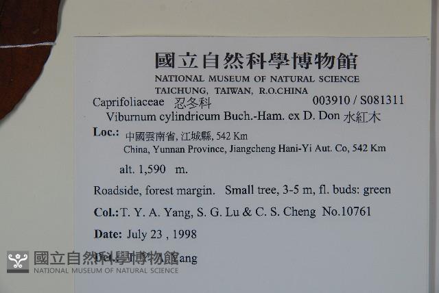 水紅木藏品圖，第2張