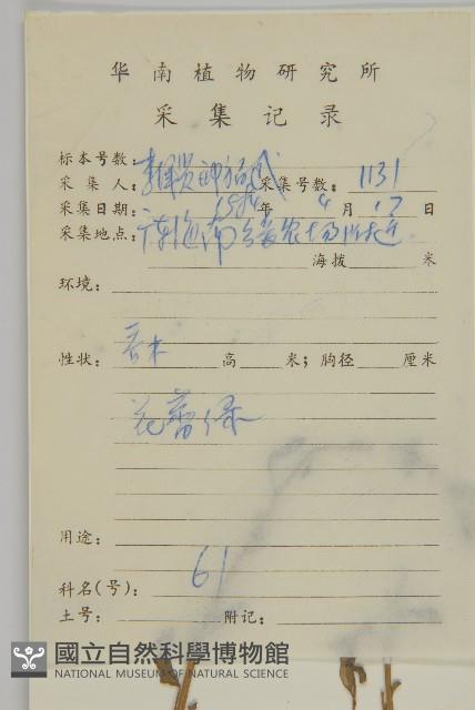 變葉藜、毛綠珠藜藏品圖，第2張