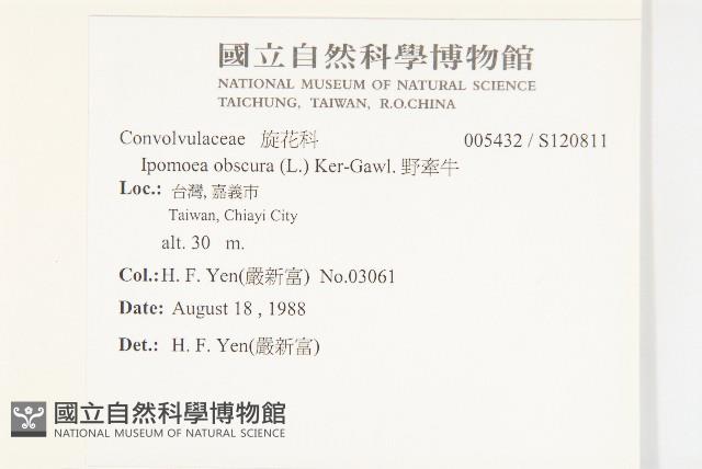 野牽牛藏品圖，第2張