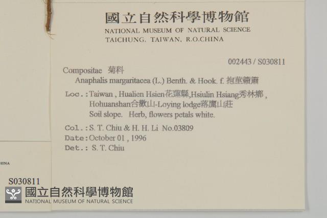 玉山抱莖籟簫藏品圖，第2張