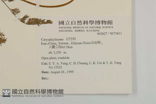 登錄號:S073811藏品圖，第2張