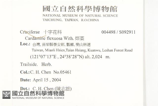 焊菜藏品圖，第2張