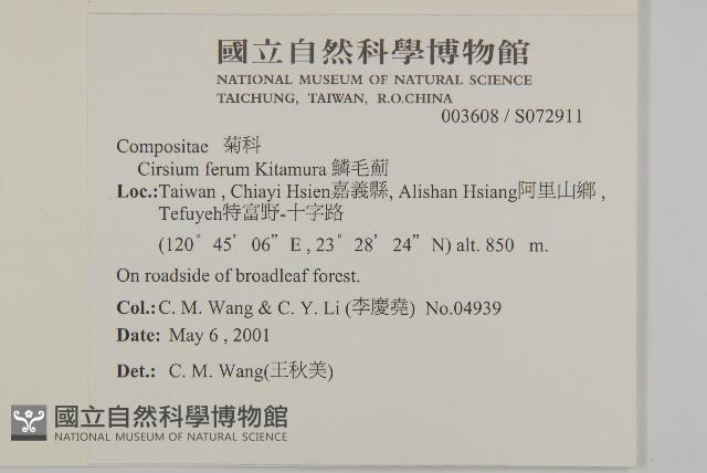 南國小薊藏品圖，第2張