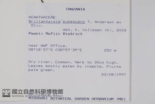 登錄號:S100911藏品圖，第2張