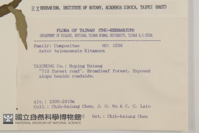 臺灣馬蘭藏品圖，第2張