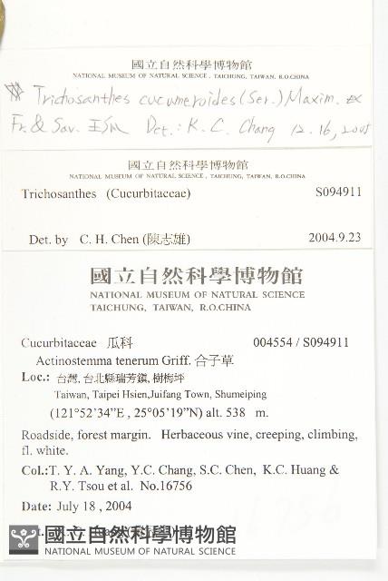 王瓜藏品圖，第2張