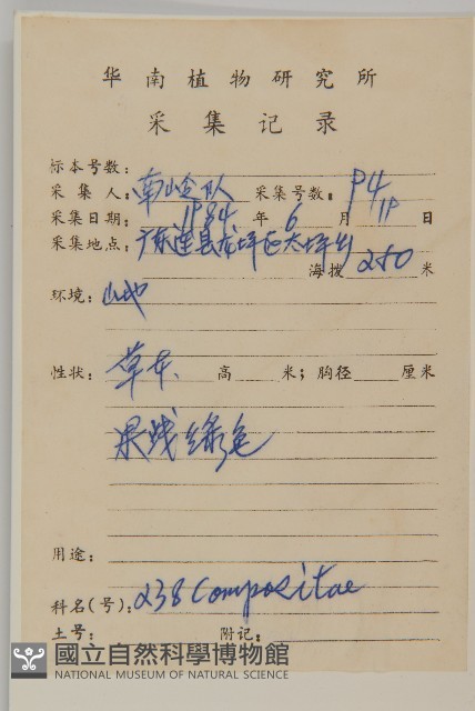 杓兒菜藏品圖，第2張
