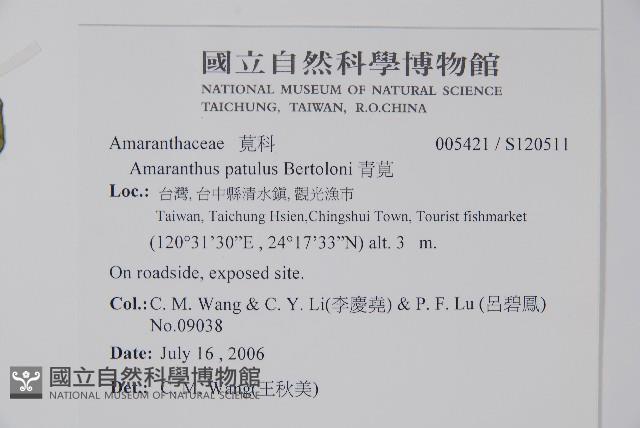 青莧藏品圖，第2張