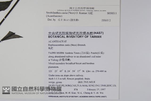 馬藍藏品圖，第2張