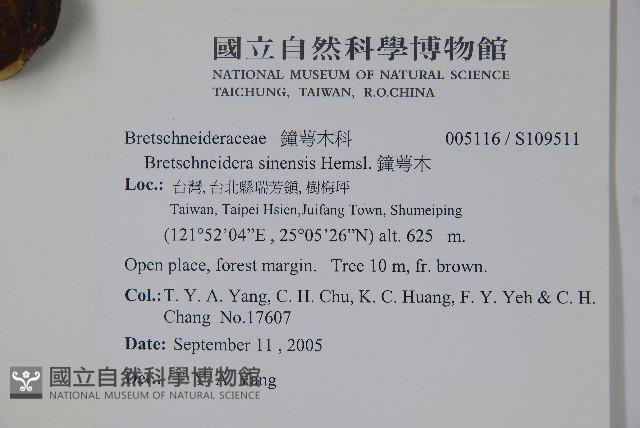 鐘萼木藏品圖，第2張